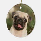 Kitz-Mops-Welpen-Keuchen Keramik Ornament (Links)