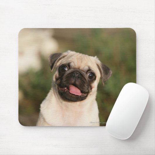 Kitz-Mops-Welpen-Keuchen Mousepad (Mit Mouse)
