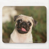 Kitz-Mops-Welpen-Keuchen Mousepad (Vorne)