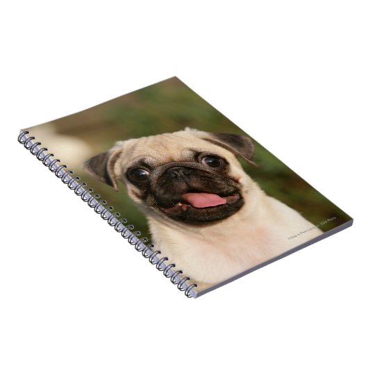 Kitz-Mops-Welpen-Keuchen Notizblock (Rechte Seite)