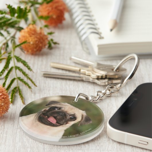 Kitz-Mops-Welpen-Keuchen Schlüsselanhänger (Vorderseite rechts)