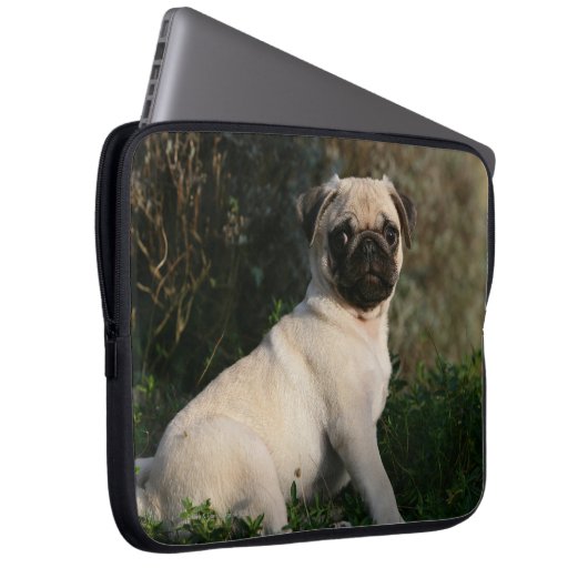 Kitz-Mops-Welpen-Sitzen Laptopschutzhülle (Vorne Rechts)