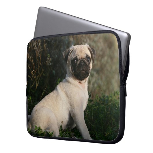 Kitz-Mops-Welpen-Sitzen Laptopschutzhülle (Vorderseite Links)