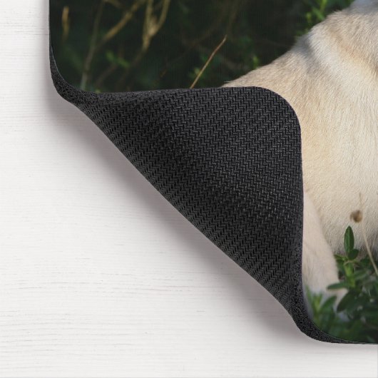 Kitz-Mops-Welpen-Sitzen Mousepad (Ecke)