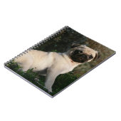 Kitz-Mops-Welpen-Sitzen Notizblock (Linke Seite)