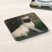 Kitz-Mops-Welpen-Sitzen Untersetzer (Linke Seite)