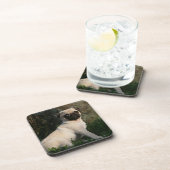 Kitz-Mops-Welpen-Sitzen Untersetzer (Rechte Seite)