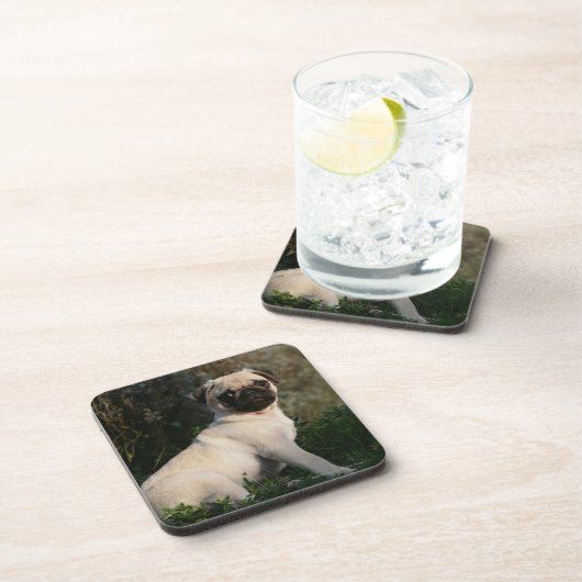 Kitz-Mops-Welpen-Sitzen Untersetzer (Rechte Seite)