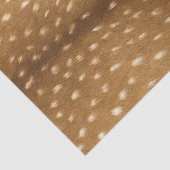 Kitz-Pelz-Baby-Rotwild-Haut Seidenpapier (Ausschnitt)