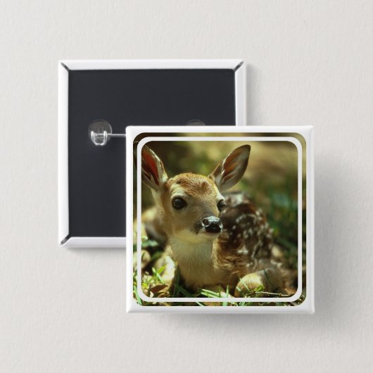 Kitz-quadratisches Button (Vorne & Hinten)