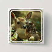 Kitz-quadratisches Button (Vorderseite)