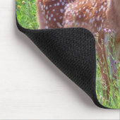 Kitz-Zwillinge im Hawkweed Mousepad (Ecke)