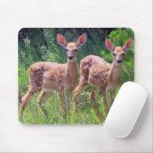 Kitz-Zwillinge im Hawkweed Mousepad (Mit Mouse)