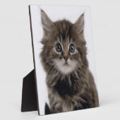 KITZE FOTOPLATTE (Seite)