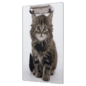 KITZE KLEMMBRETT (Links)