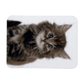 KITZE MAGNET (Horizontal)