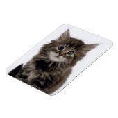 KITZE MAGNET (Linke Seite)