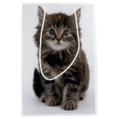 KITZE MITTLERE GESCHENKTÜTE (Vorderseite)