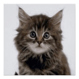 KITZE POSTER