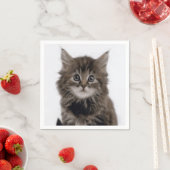 KITZE SERVIETTE (Beispiel)