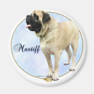 Kitzmastiff-Porträt Magnet