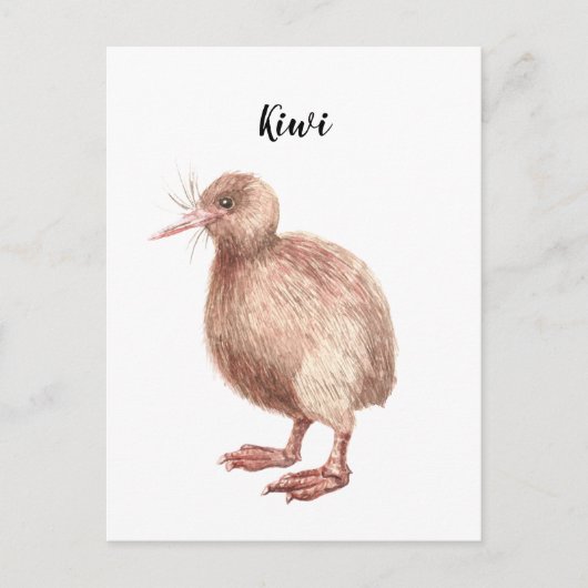 Kiwi Aquarell bemalt Vogelkarte. Postkarte (Vorderseite)
