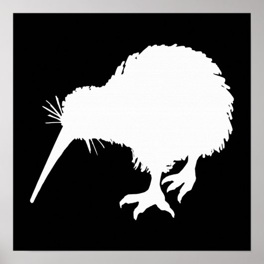 Kiwi Bird Poster (Vorne)