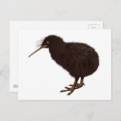 Kiwi Bird Postkarte (Vorne/Hinten)