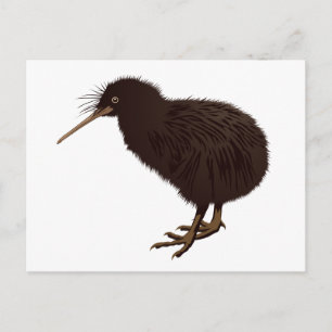 Kiwi Bird Postkarte