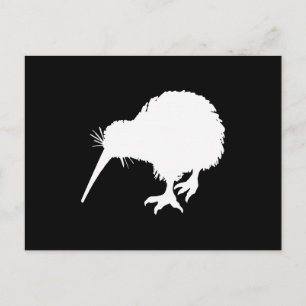 Kiwi Bird Postkarte