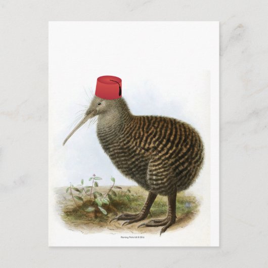 Kiwi Bird Wearing Fez Absurd Vintag Postkarte (Vorderseite)
