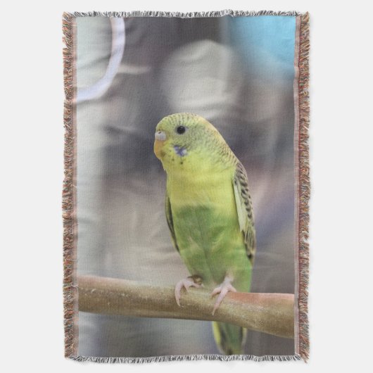 Kiwi Burbell Decke (Vorderseite Vertikal)