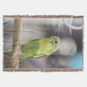 Kiwi Burbell Decke (Vorderseite)