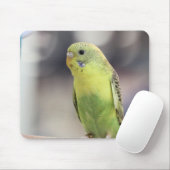 Kiwi Burbell Mousepad (Mit Mouse)