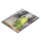 Kiwi Burbell Notizblock (Linke Seite)