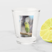 Kiwi Burbell Schnapsglas (Vorderseite)