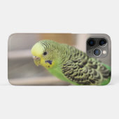 Kiwi Case-Mate iPhone Hülle (Rückseite (Horizontal))