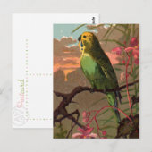 Kiwi der Sittich Postkarte (Vorne/Hinten)