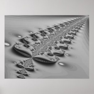 Kiwi Fern Print Poster