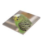 Kiwi Fliese (Seite)