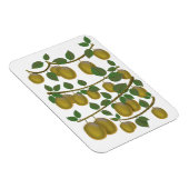 Kiwi-Frucht Magnet (Rechte Seite)