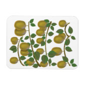 Kiwi-Frucht Magnet (Horizontal)