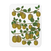 Kiwi-Frucht Magnet (Vertikal)