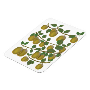 Kiwi-Frucht Magnet