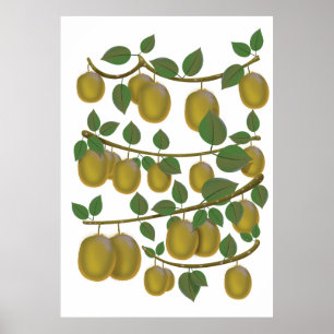 Kiwi Frucht Poster
