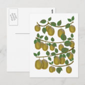 Kiwi-Frucht Postkarte (Vorne/Hinten)