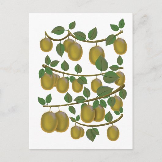 Kiwi-Frucht Postkarte (Vorderseite)