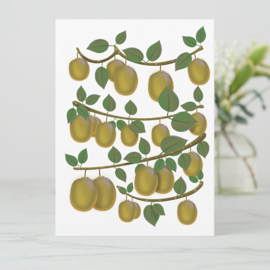 Kiwi Fruit (Stehend Vorderseite)