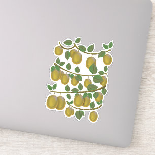 Kiwi Fruit Aufkleber
