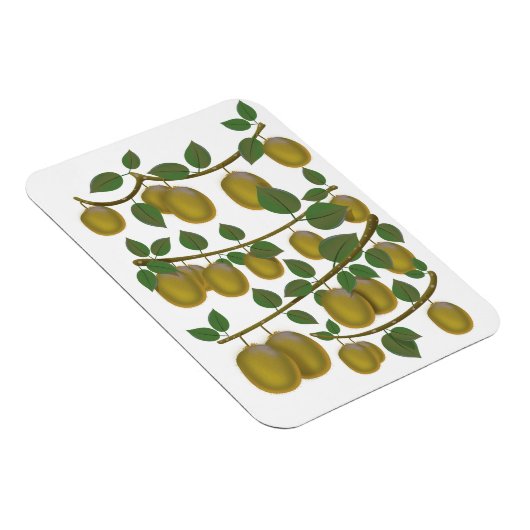 Kiwi Fruit Magnet (Rechte Seite)